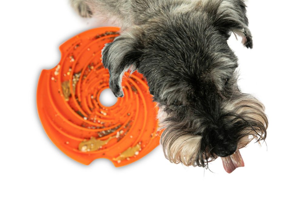 benefits-of-peanut-butter-for-dogs